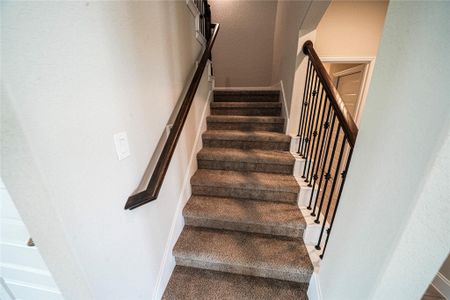 New construction Single-Family house 312 Proctor Grv, Cibolo, TX 78108 Weimer- photo 10 10