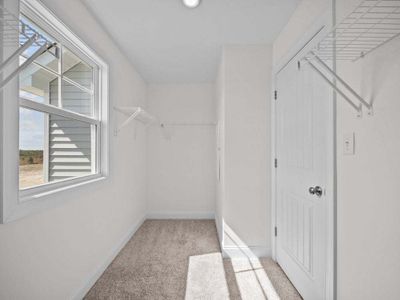 New construction Single-Family house 30 Malbec Wy, Youngsville, NC 27596 Brunswick- photo 17 17