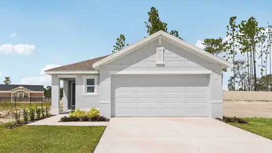 New construction Single-Family house 31107 Silver Stage Dr, Brooksville, FL 34602 plan Allex - image