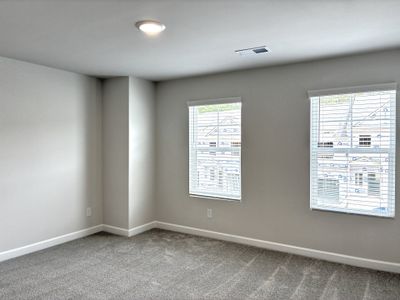 New construction Single-Family house 247 Taylor Woods Ct, Greenville, SC 29607 plan The Princeton A - image 17