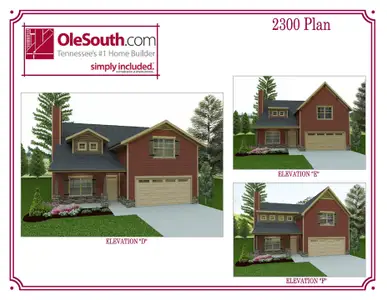 New construction Single-Family house 7424 Cumberland Dr, Fairview, TN 37062 plan 2300 Elevation DEF - image