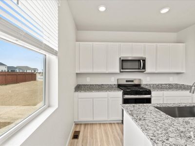 New construction Single-Family house 4647 Goldflower Dr, Johnstown, CO 80534 The Pagosa- photo 6 6
