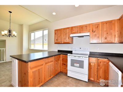 New construction Single-Family house 407 Vivid Ln, Windsor, CO 80550 Michigan- photo 16 16