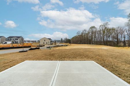 New construction Single-Family house 265 Day Farm Dr, Lillington, NC 27546 Hazel- photo 3 3