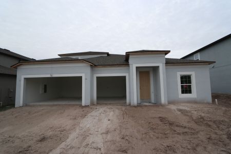 New construction Single-Family house 5050 Bromeliad Ave, Wimauma, FL 33598 Barcello Bonus- photo 73 73