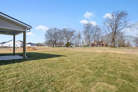 New construction Single-Family house 1012 Fox Dr, Nashville, TN 37221 plan Maui - image 19