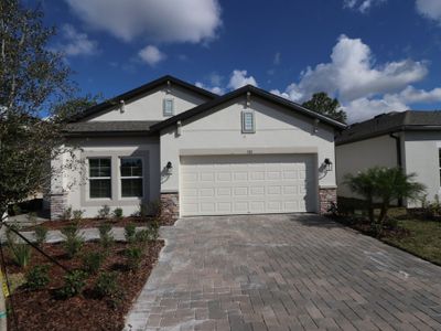 New construction Single-Family house 585 Hillshire Pl, Spring Hill, FL 34609 plan Picasso - image