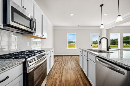 New construction Single-Family house 117 Townsend Wy, Unit 229, Chapel Hill, TN 37034 plan The Harrington - image 6