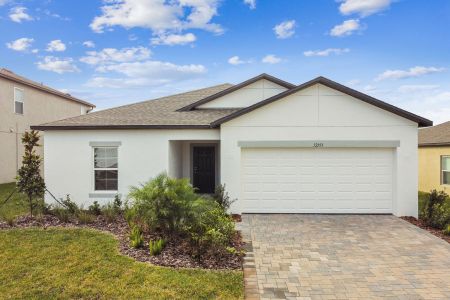 New construction Single-Family house 12193 Hilltop Farms Dr, Dade City, FL 33525 Sentinel- photo 153 153