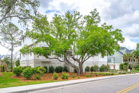 New construction Single-Family house 835 Dunham Street, Charleston, SC 29492 - photo 6 6