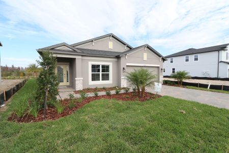 New construction Single-Family house 31229 Denham Ridge Ln, Wesley Chapel, FL 33545 Newport II- photo 66 66