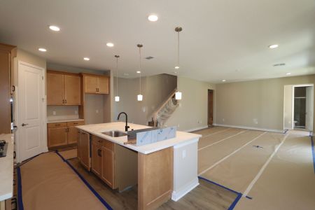 New construction Single-Family house 20125 Oriana Loop, Land O' Lakes, FL 34638 Santina II- photo 143 143