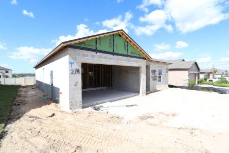 New construction Single-Family house 12227 Hilltop Farms Dr, Dade City, FL 33525 Sentinel- photo 40 40