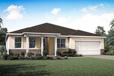 New construction Single-Family house 9017 Sundance Ter, Parrish, FL 34219 - image