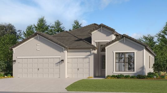 New construction Single-Family house 5608 Lightning Whelk Ln, Lakewood Ranch, FL 34202 The Stanford- photo 0 0