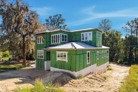 New construction Single-Family house 572 Sanctuary Golf Pl, Apopka, FL 32712 - image