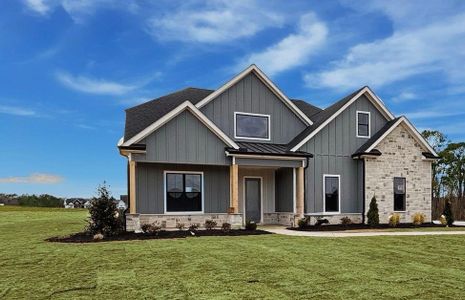 New construction Single-Family house 131 Palisade Dr, Rydal, GA 30171 - image