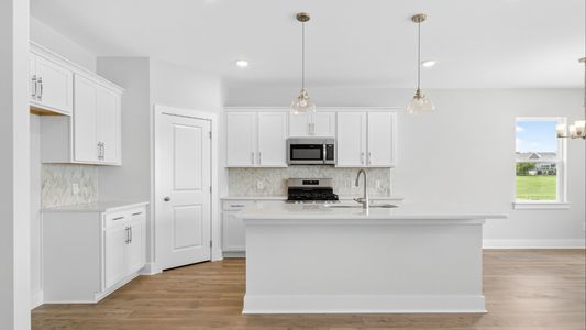 New construction Single-Family house 3915 Trinity Woods Rd, Columbia, TN 38401 plan Delta - image 14