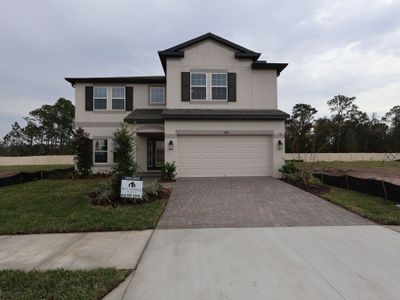 New construction Single-Family house 7903 Painted Sky Place, Land O Lks, Land O' Lakes, FL 34637 plan Coronado  III - image