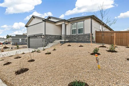 New construction Single-Family house 4469 Soapberry Pl, Castle Rock, CO 80108 null- photo 0