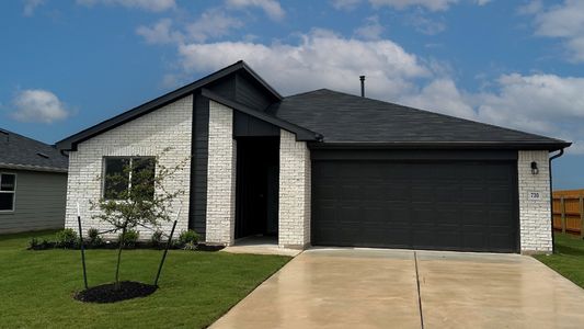 New construction Single-Family house 134 Little Walnut Cv, Kyle, TX 78640 null- photo 5 5