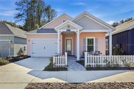 New construction Single-Family house 1005 Nw 132Nd Blvd, Newberry, FL 32669 - image