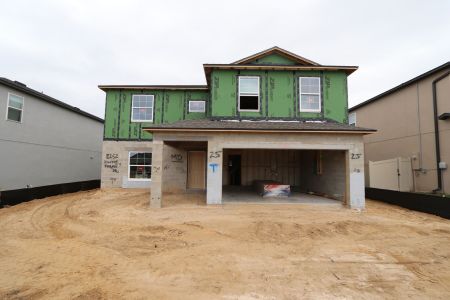 New construction Single-Family house 12252 Hilltop Farms Dr, Dade City, FL 33525 Cabo- photo 49 49