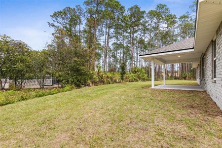 New construction Single-Family house 14 Squanto Pl, Palm Coast, FL 32164 null- photo 24 24