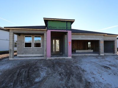 New construction Single-Family house 31266 Hayman Lp, Wesley Chapel, FL 33545 plan Corina III - image