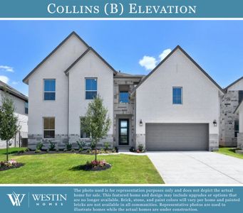 Nolina - 60' by Westin Homes in Georgetown - photo 4 4