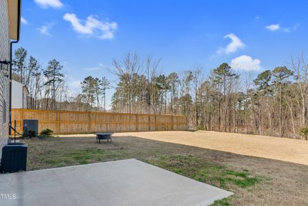 New construction Single-Family house 3413 Dragonfly River Ct, Raleigh, NC 27604 null- photo 4 4