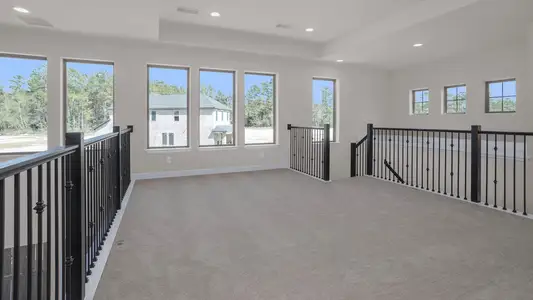 New construction Single-Family house 12755 Copperbush Dr, Conroe, TX 77302 plan 2694W - image 8