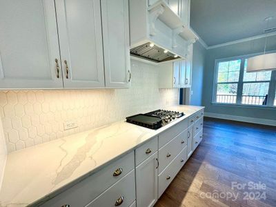 New construction Single-Family house 3850 Willow Grove Ln, Unit 24, Concord, NC 28025 null- photo 6 6