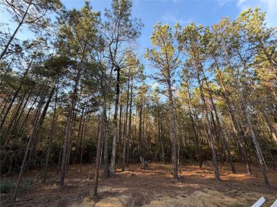 New construction Single-Family house 4578 Blue Agave Wy, Montgomery, TX 77316 plan Vizcaya  - image 17