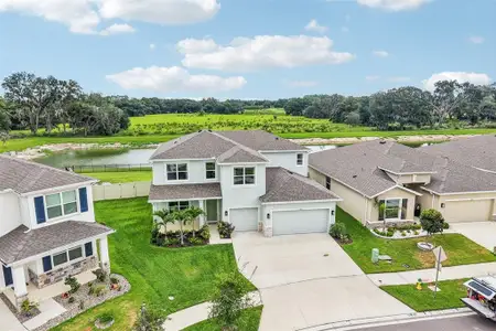 New construction Single-Family house 6076 Wandering Willow Dr, Wesley Chapel, FL 33545 - image