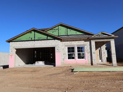 New construction Single-Family house 12182 Stirrup Dr, Dade City, FL 33525 plan Picasso Bonus - image