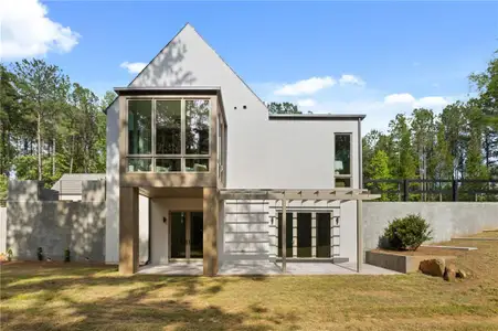 New construction Single-Family house 3 Sardis Trl, Chattahoochee Hills, GA 30268 - image