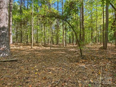 New construction Single-Family house 0 Rehobeth Rd, Waxhaw, NC 28173 - image 18