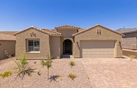 New construction Single-Family house 13417 N Braunite Ct, Oro Valley, AZ 85755 plan Parklane - image