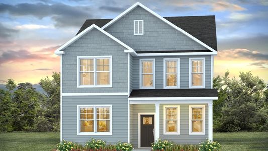 New construction Single-Family house 111 Elizafield Ln, Brunswick, GA 31525 plan Irwin - image