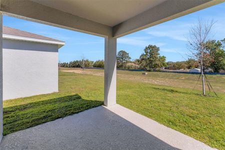 New construction Single-Family house 191 Bottle Brush Dr, Haines City, FL 33844 Mulberry- photo 72 72