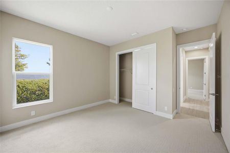 New construction Single-Family house 18185 Home Run Dr, Venice, FL 34293 plan Destin - image 20