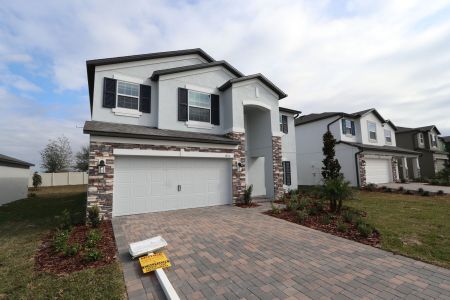 New construction Single-Family house 12176 Hilltop Farms Dr, Dade City, FL 33525 Malibu- photo 151 151