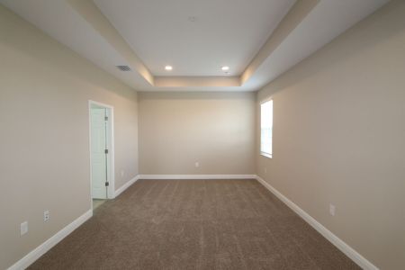 New construction Single-Family house 38357 Palomino Dr, Dade City, FL 33525 Picasso Bonus- photo 43 43