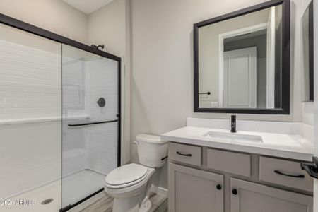 New construction Single-Family house 8628 N 176th Ln, Waddell, AZ 85355 plan Desert Rose - image 13