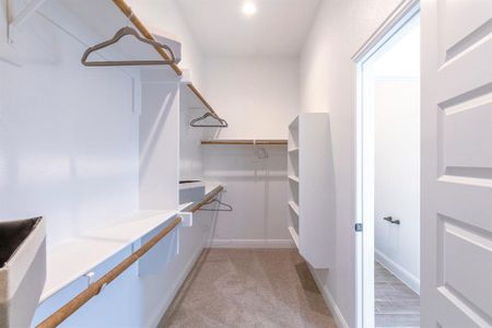 New construction Single-Family house 10625 Moss Cove Dr, Crowley, TX 76036 plan Addison - image 12