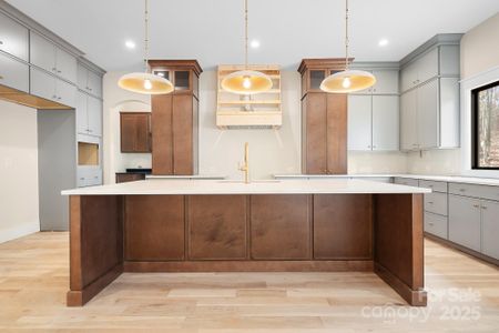 New construction Single-Family house 4459 Brancer Ln, Lincolnton, NC 28092 - image 15