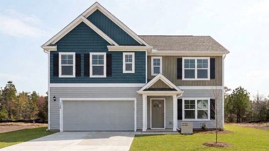 New construction Single-Family house 1141 Pampas Grass Dr, Castle Hayne, NC 28429 plan Hayden - image