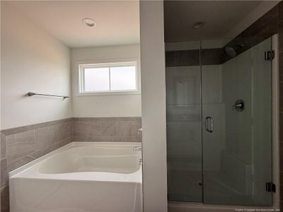 New construction Single-Family house 312 One Tree Hl, Sanford, NC 27330 - image