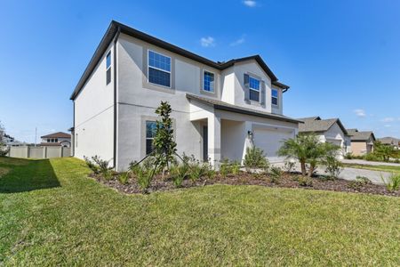 New construction Single-Family house 12219 Hilltop Farms Dr, Dade City, FL 33525 Malibu- photo 272 272